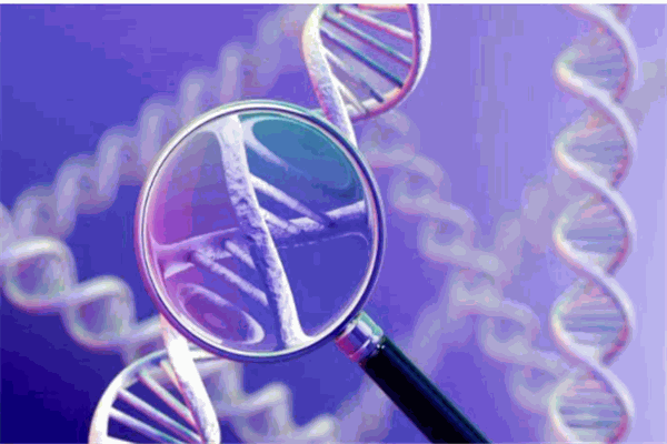 赛乐湃基因检测